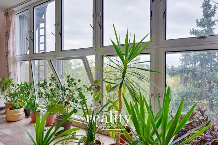 Prodej rodinného domu, Hodonice, 480 m2