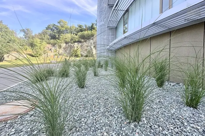 Prodej bytu 3+kk, Brno, Bystrcká, 75 m2