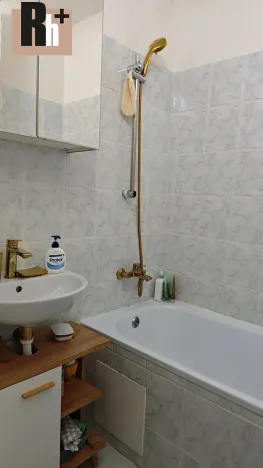 Prodej činžovního domu, Ostrava, Olešní, 2095 m2