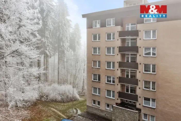 Prodej bytu 1+1, Janské Lázně, Na Sluneční Stráni, 38 m2