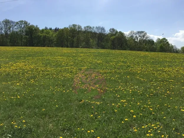 Prodej pozemku pro bydlení, Volyně, 6867 m2