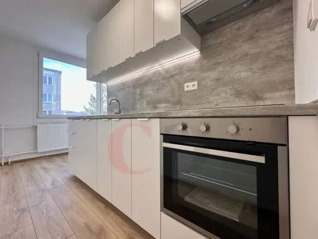 Pronájem bytu 1+1, Třemošná, Luční, 40 m2