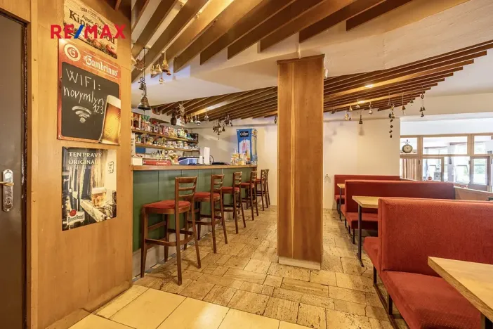 Prodej rodinného domu, Doksy, Pod Borným, 1700 m2