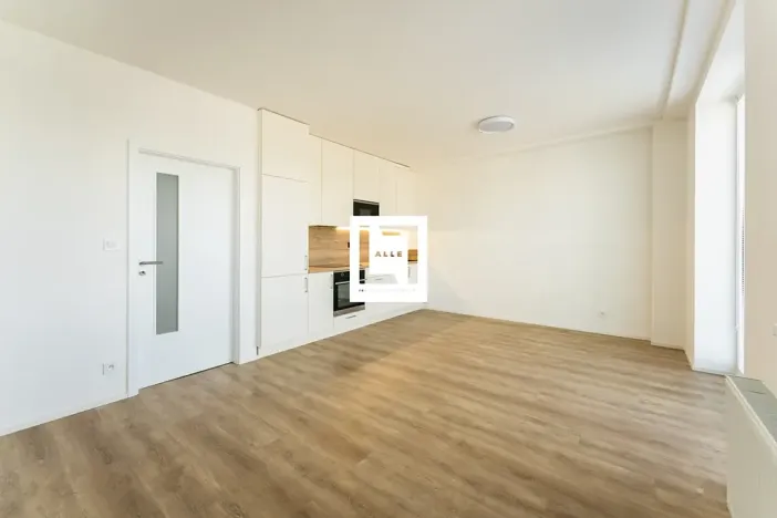 Pronájem bytu 2+kk, Ostrava, Hasičská, 43 m2