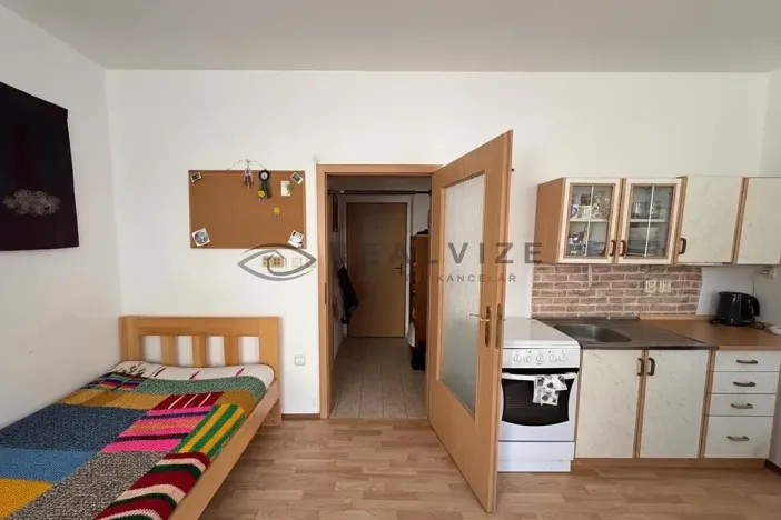 Pronájem bytu 1+kk, České Budějovice, Nová, 30 m2