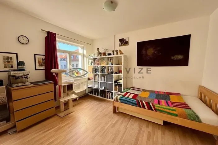 Pronájem bytu 1+kk, České Budějovice, Nová, 30 m2