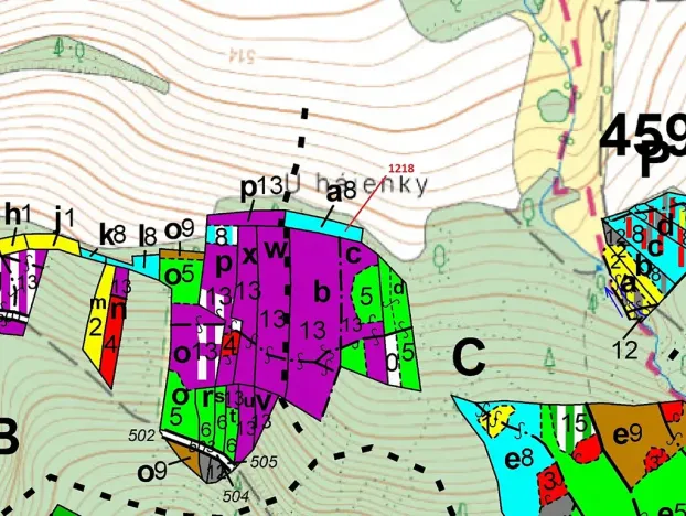 Dražba lesa, Vilice, 1352 m2