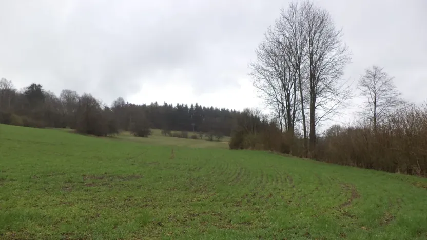 Prodej pole, Mladý Smolivec - Radošice, 15075 m2