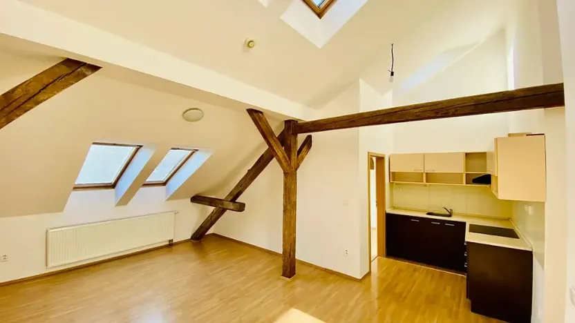 Pronájem bytu 2+kk, Brno, Ptašínského, 53 m2