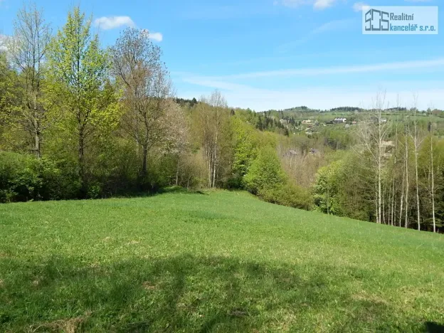 Prodej pozemku pro bydlení, Branná, 7409 m2