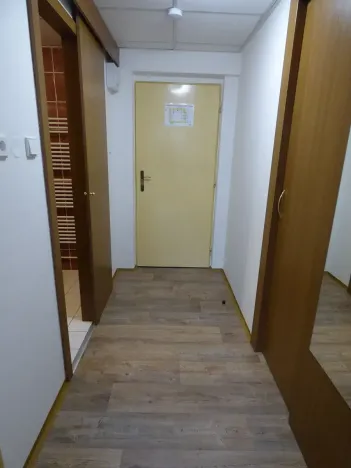 Pronájem bytu 1+kk, Brno, Heršpická, 23 m2