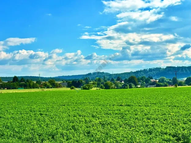 Prodej rodinného domu, Úžice, 120 m2