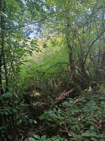 Prodej pozemku pro bydlení, Bojkovice, 819 m2