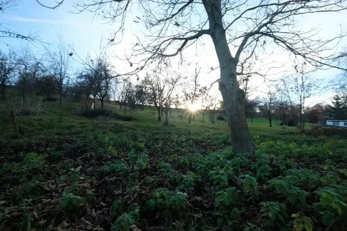 Prodej pozemku pro bydlení, Šumice, 2544 m2