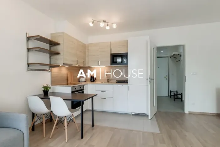 Pronájem bytu 1+kk, Praha - Žižkov, Olgy Havlové, 38 m2