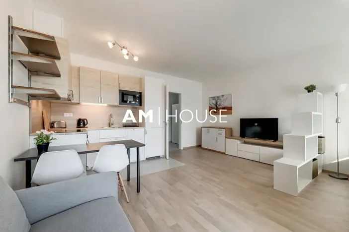 Pronájem bytu 1+kk, Praha - Žižkov, Olgy Havlové, 38 m2