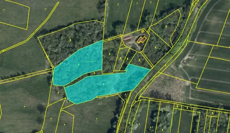 Prodej lesa, Jaroměř, 19276 m2