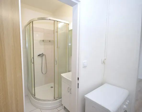 Pronájem bytu 1+kk, Frýdek-Místek, Bruzovská, 30 m2