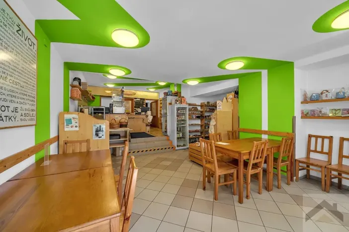 Prodej komerční nemovitosti, Litomyšl, Havlíčkova, 295 m2