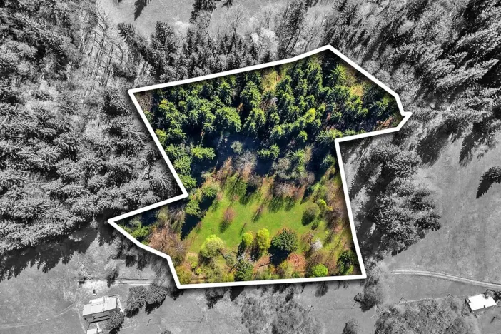 Prodej pozemku pro bydlení, Vítkovice, 21708 m2