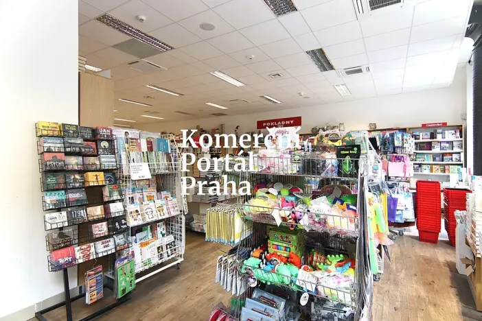 Pronájem obchodního prostoru, Praha - Nové Město, Vodičkova, 627 m2