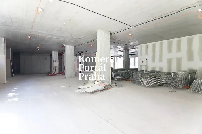 Pronájem restaurace, Praha - Nusle, Lomnického, 470 m2