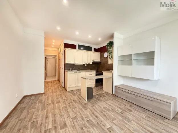 Pronájem bytu 1+kk, Teplice, U divadla, 38 m2