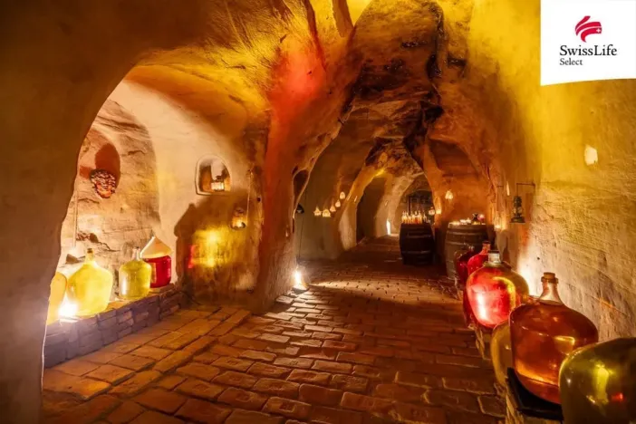 Pronájem ubytování, Nový Šaldorf-Sedlešovice, Na Staré cestě, 176 m2