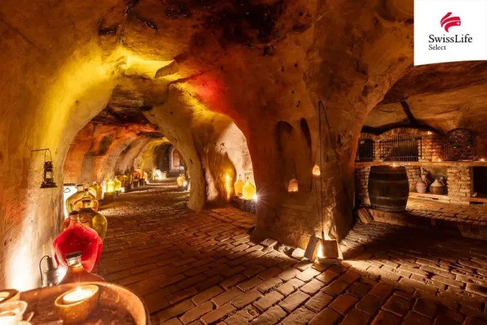 Pronájem ubytování, Nový Šaldorf-Sedlešovice, Na Staré cestě, 176 m2