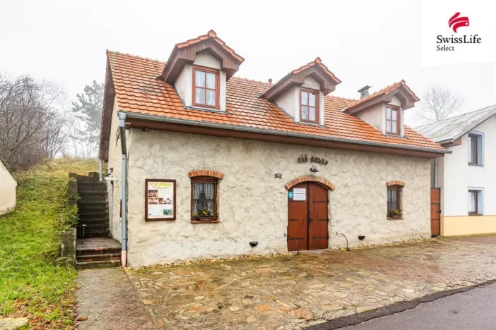 Pronájem ubytování, Nový Šaldorf-Sedlešovice, Na Staré cestě, 176 m2