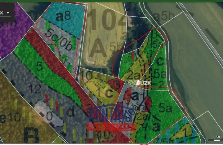 Prodej lesa, Sychrov - Radostín, 30767 m2