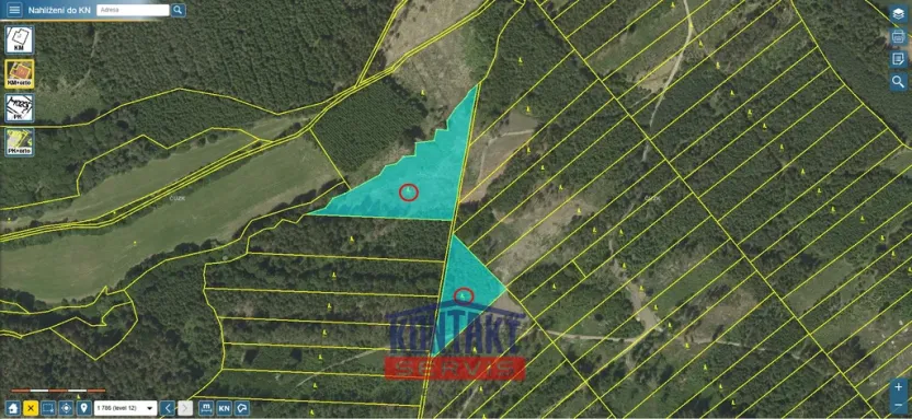 Prodej lesa, Jevíčko, 70821 m2