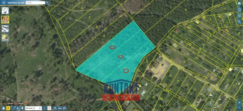 Prodej lesa, Jevíčko, 70821 m2