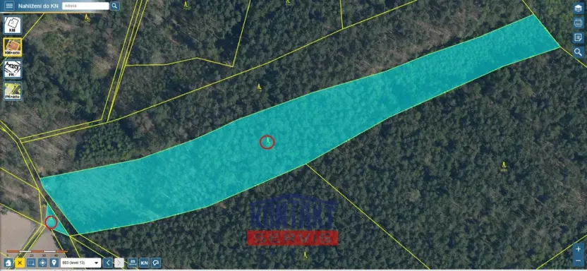 Prodej lesa, Bítouchov, 100105 m2