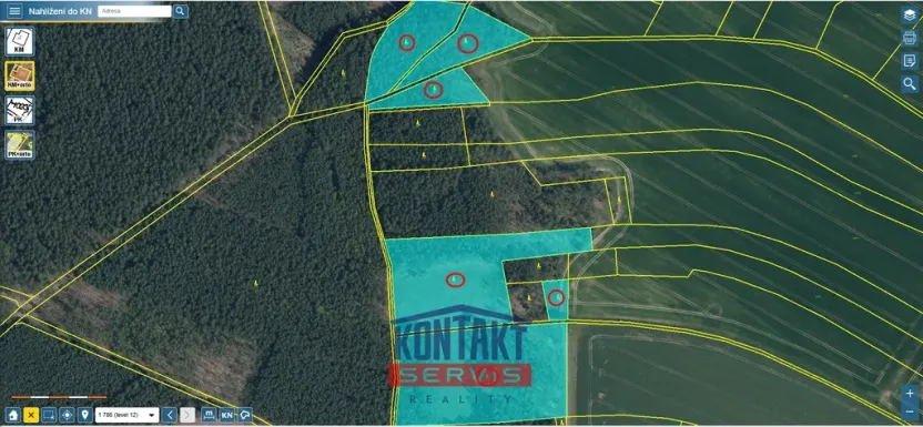 Prodej lesa, Bítouchov, 100105 m2