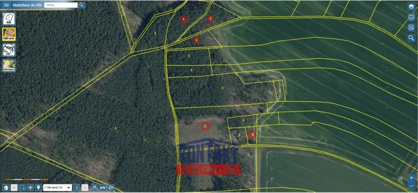 Prodej lesa, Bítouchov, 100105 m2