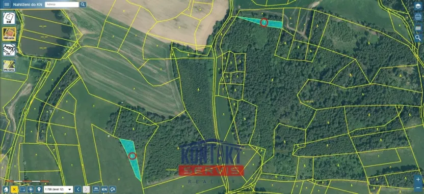 Prodej lesa, Čepřovice, 2819 m2