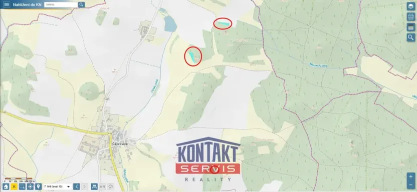 Prodej lesa, Čepřovice, 2819 m2