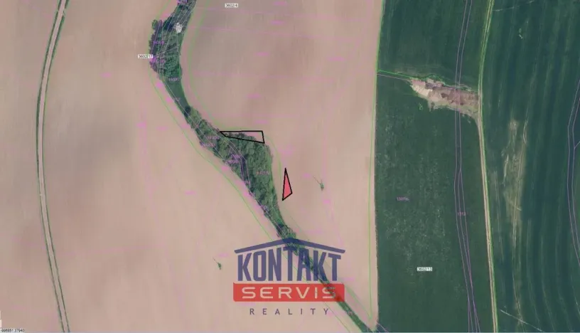 Prodej pole, Košťálov - Kundratice, 1648 m2