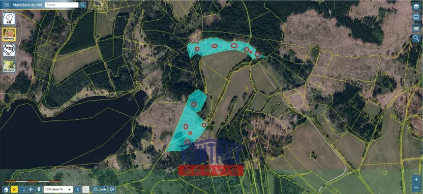 Prodej lesa, Studená - Horní Pole, 47225 m2