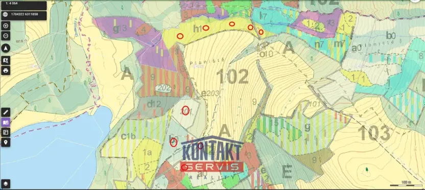 Prodej lesa, Studená - Horní Pole, 47225 m2