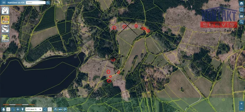 Prodej lesa, Studená - Horní Pole, 20620 m2
