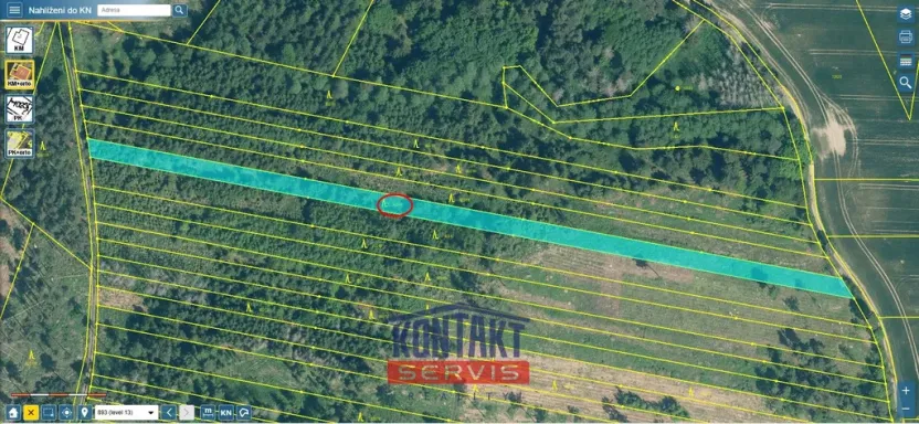 Prodej lesa, Jickovice, 32955 m2