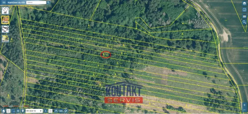 Prodej lesa, Jickovice, 32955 m2