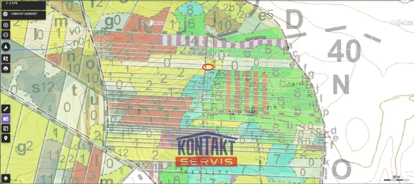 Prodej lesa, Jickovice, 32955 m2