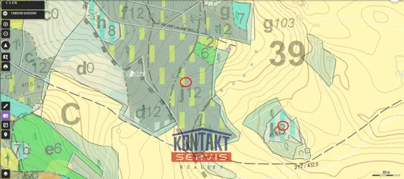 Prodej lesa, Jickovice, 32955 m2