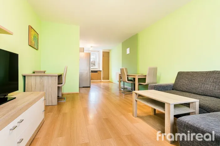 Pronájem bytu 2+kk, Brno, Renneská třída, 62 m2