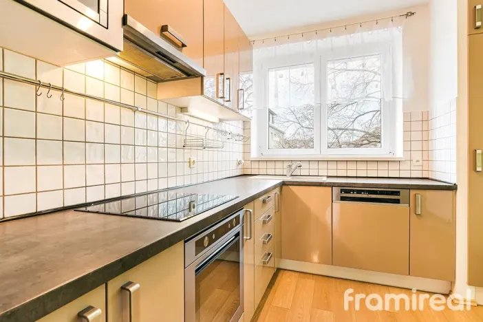 Pronájem bytu 2+kk, Brno, Renneská třída, 62 m2