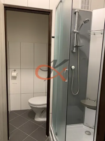 Pronájem bytu 1+kk, Rožnov pod Radhoštěm, Borová, 28 m2