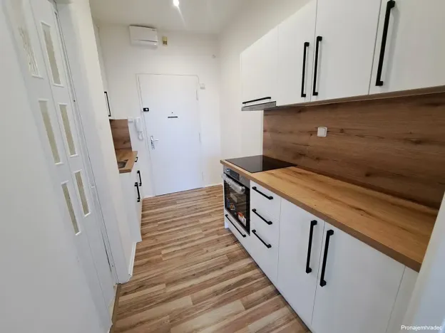 Pronájem bytu 1+kk, Hradec Králové, Nerudova, 30 m2